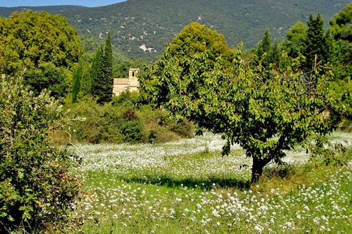 provence-landschaft