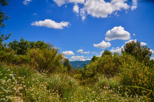 provence-landschaft-natur