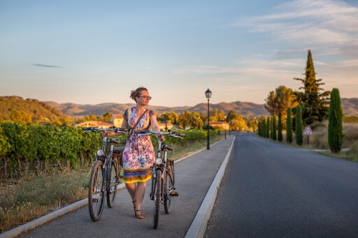 provence-landschaft-fahrrad