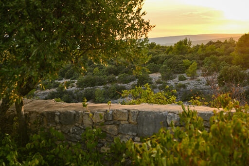Provence-Landschaft-Mauer-Sonnenuntergang