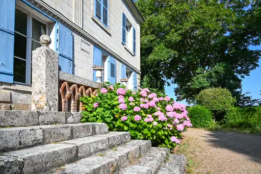 Rosé-farbene Hortensien vor einem Herrenhaus im Morgenlicht