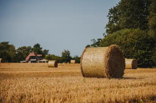 Heuballen auf einem Feld in der Normandie