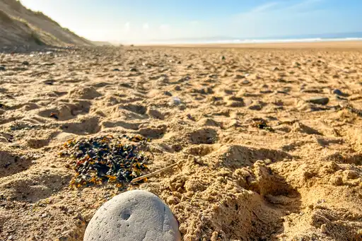 FN_Normandie_Strand