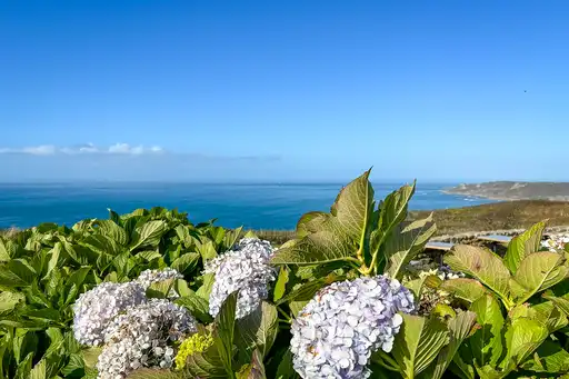 FN_Normandie_Blumen