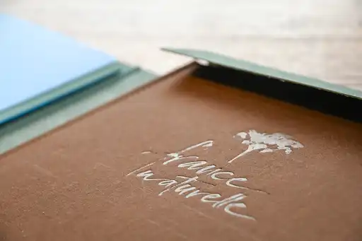 Ein brauner Reiseführer