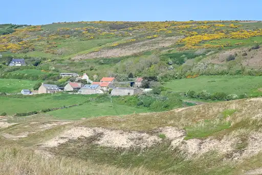Eine Dünenlandschaft mit Häusern
