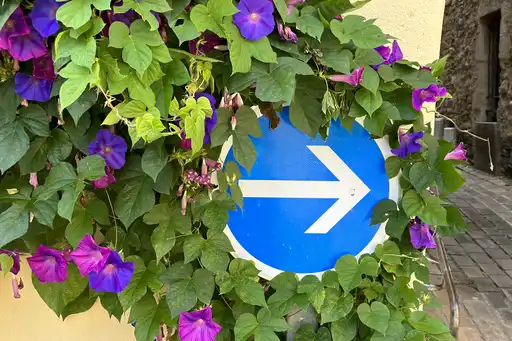 Provence-Urlaub-Straßenschild-Busch