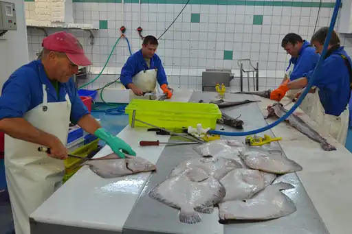bretagne-essen-wein-fisch