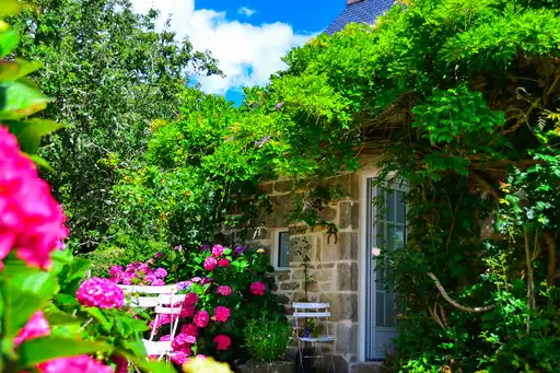 bretagne-unterkünfte-blumen