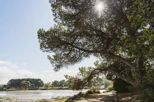 bretagne-wanderung-riadetel