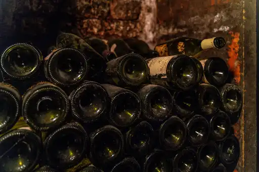 burgund-essen-wein-falschen