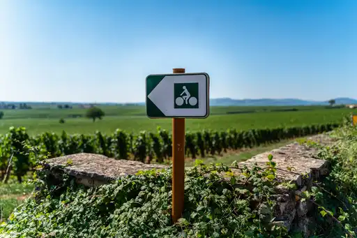 burgund-sonstiges-fahrradweg