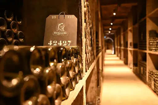burgund-wein-reise