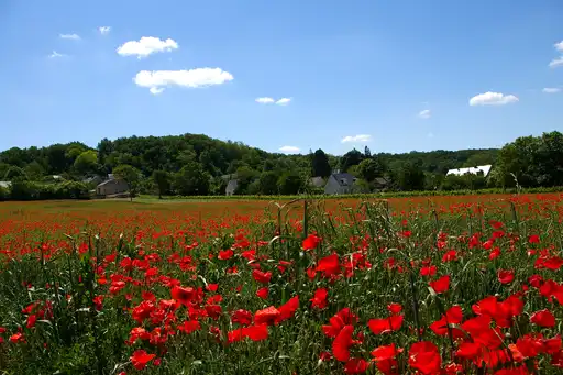 loire-rundreise-landschaft-IMGP0271