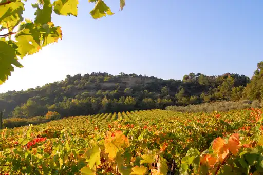 provence-landschaft-urlaub