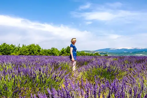 provence-lavendel-urlaub