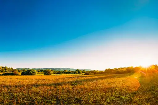 provence-landschaft-feld-sonne