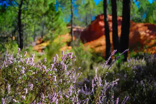 provence-landschaft-natur-ferien
