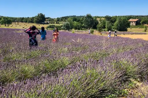 provence-menschen-Touristen