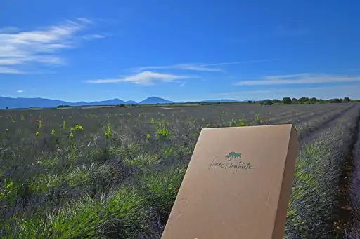 provence-rundreise-lavendel-reiseunterlagen