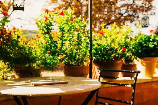 provence-sonstiges-tisch