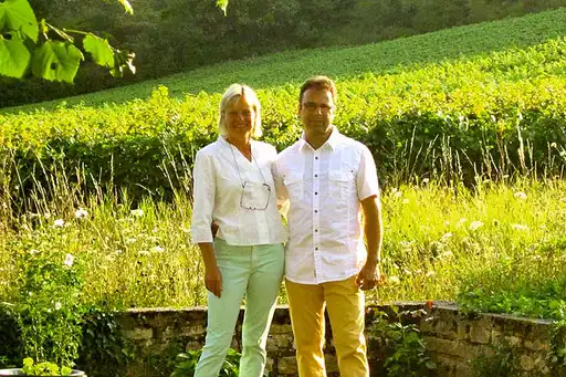 frankreich-urlaub-weinberg