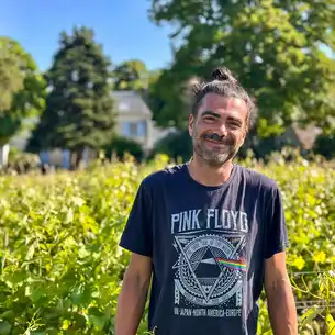 Ein Mann im einem Pink-Floyd T-Shirt steht vor Weinreben