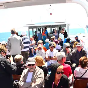 Bretagne-Tourismus-Boot