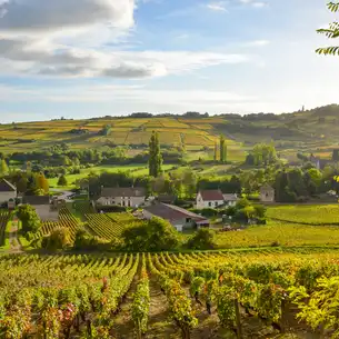 burgund-landschaft-dorf