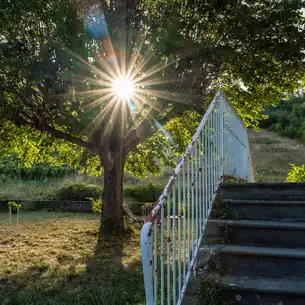 burgund-sonstiges-treppe