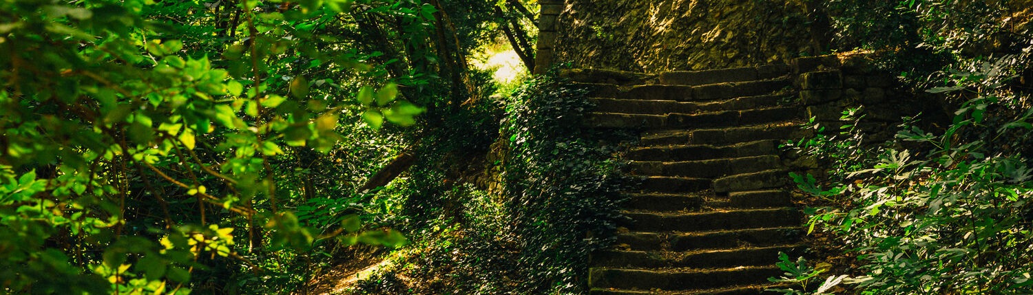 provence-landschaft-treppe