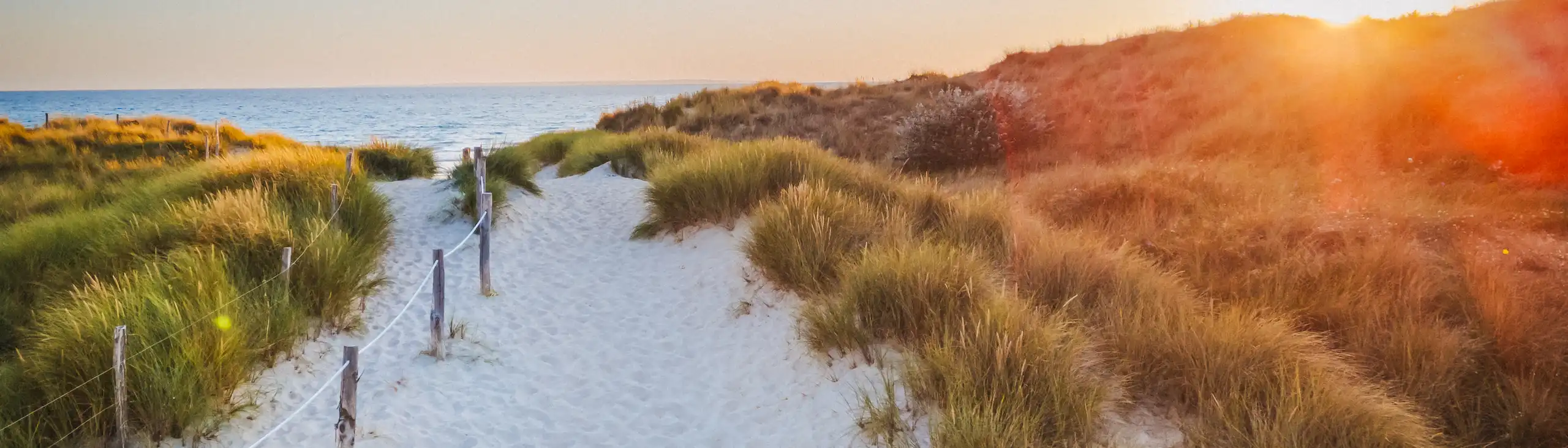 Ein Sandweg, der durch Dünen zum Meer führt beim Sonnenuntergang