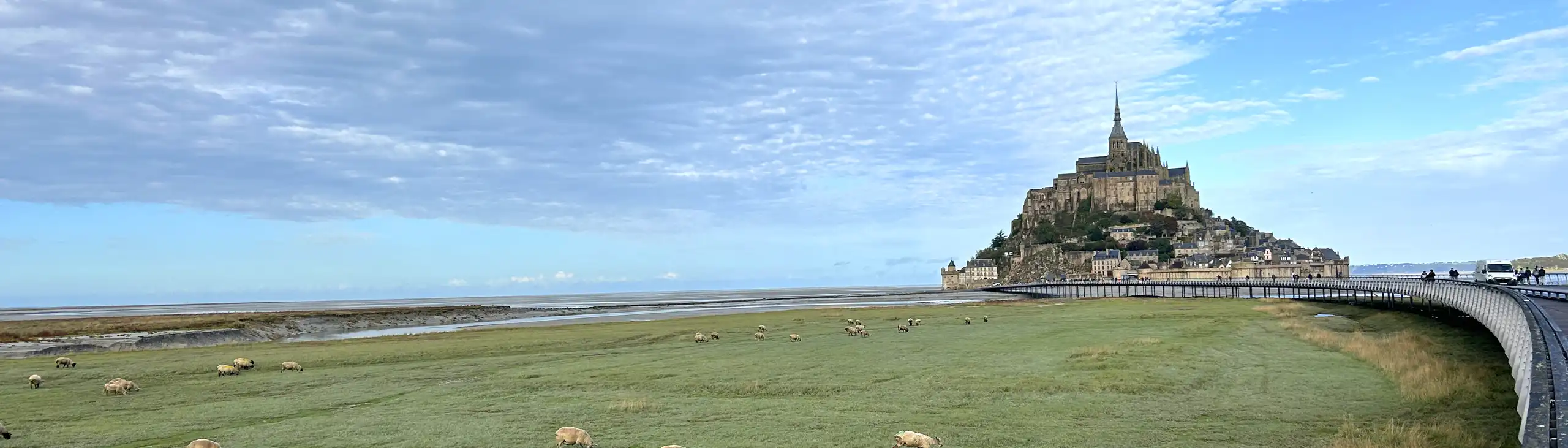 Große Weide mit schafen und Mont-Saint-Michel im Hintergrund