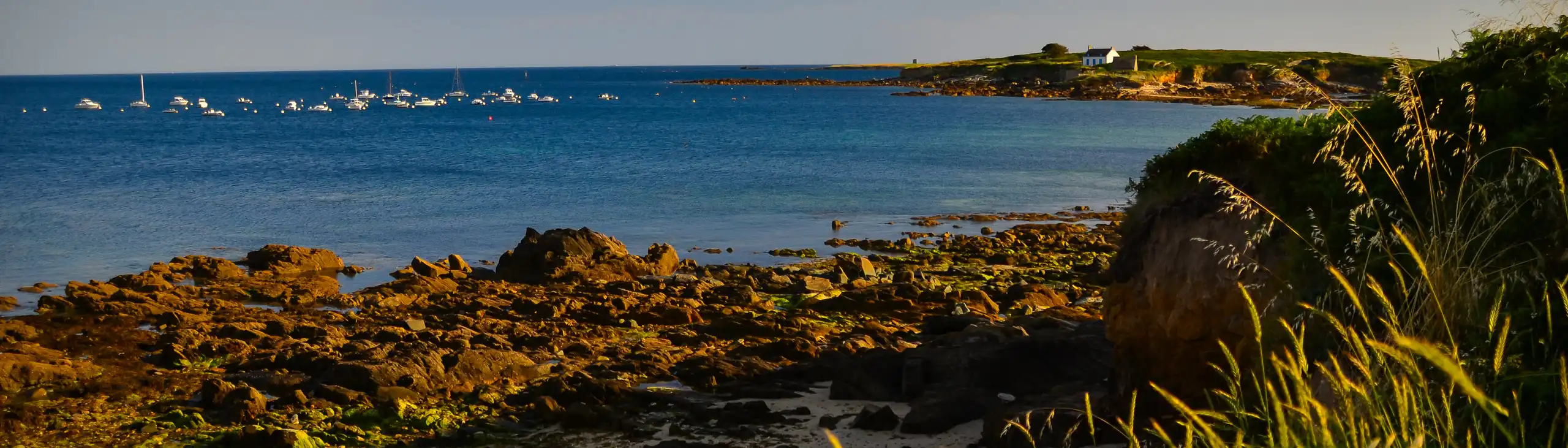 bretagne-landschaft-bucht-ebbe