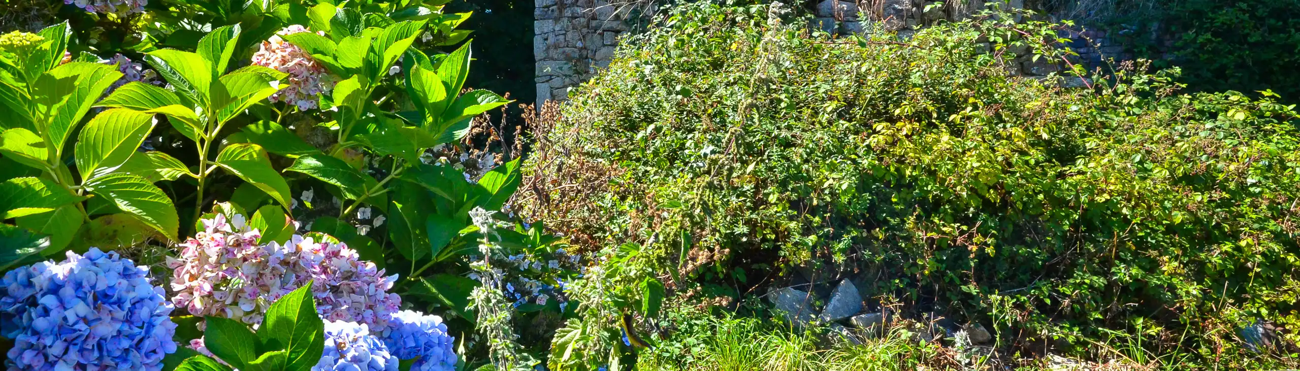 bretagne-landschaft-natur-garten