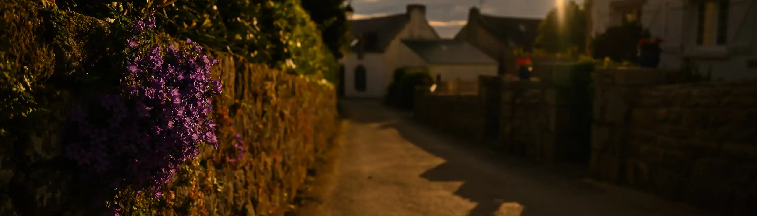 bretagne-landschaft-sonne