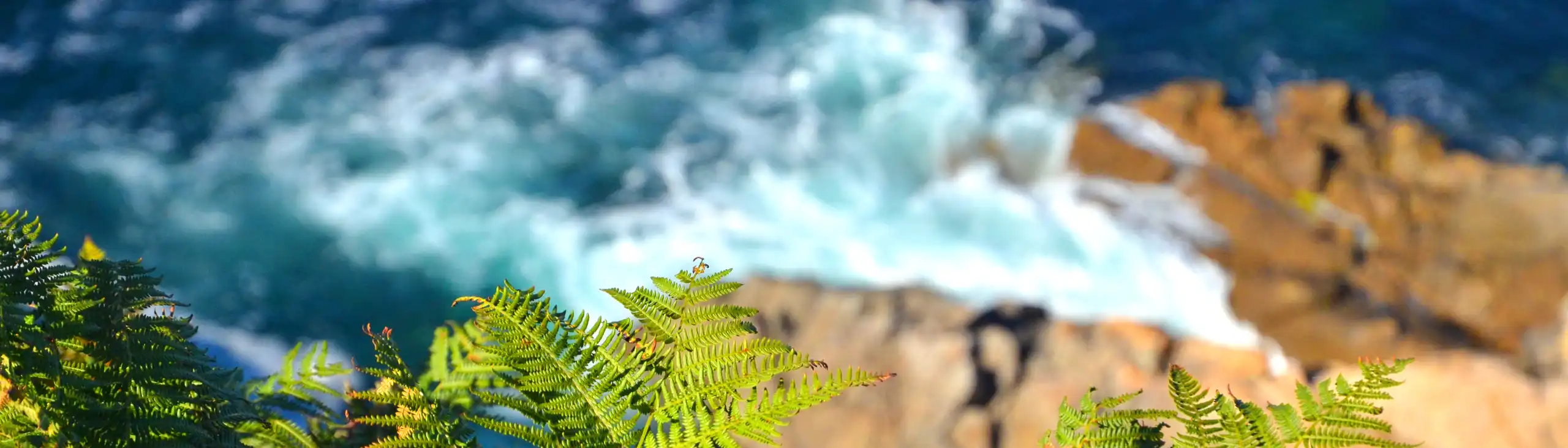 bretagne-landschaft-natur