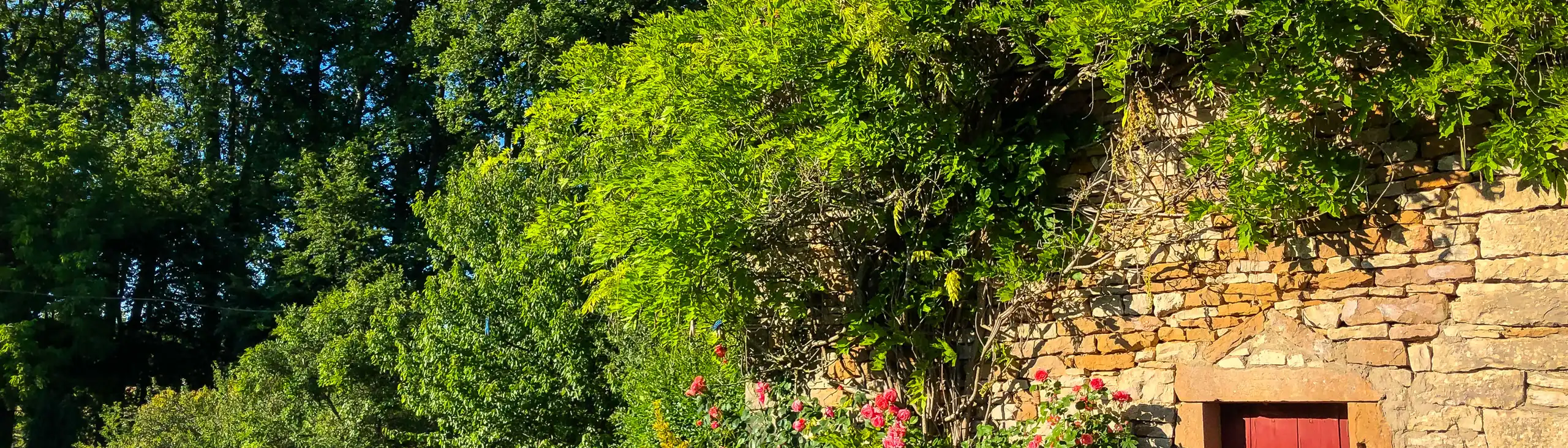 Ein schönes Steinhaus im Burgund mit einem großeb Garten und Blumen