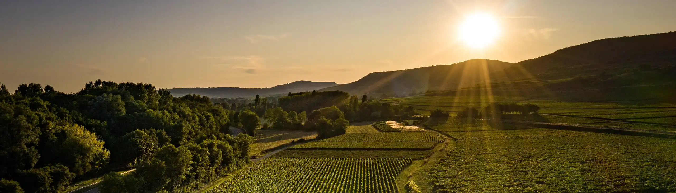 Burgund Reise Urlaub