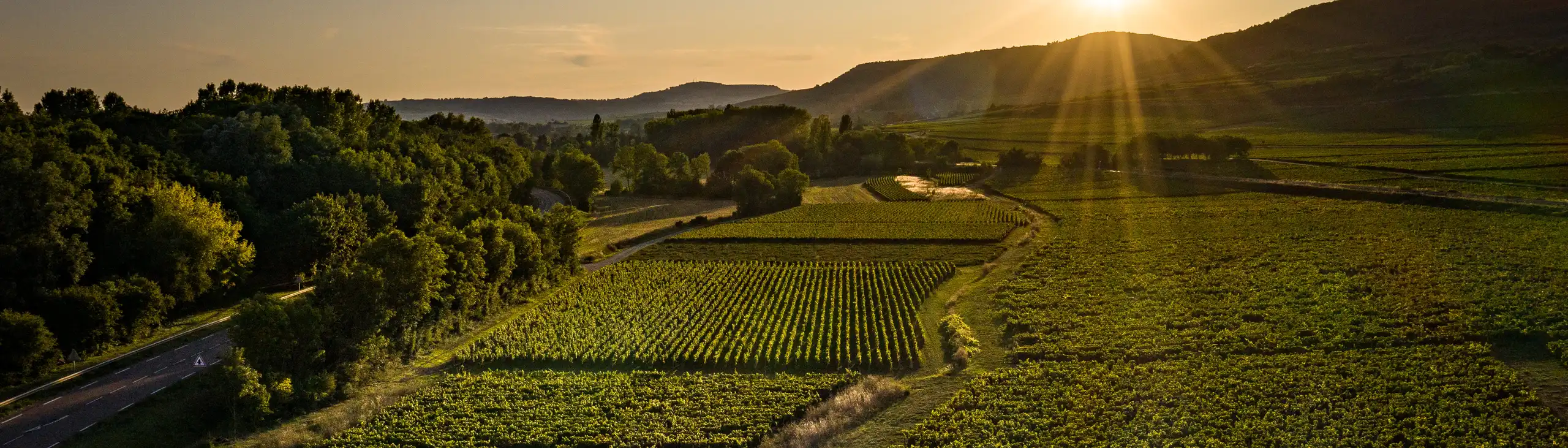 burgund-frankreich-reiseDJI_0528