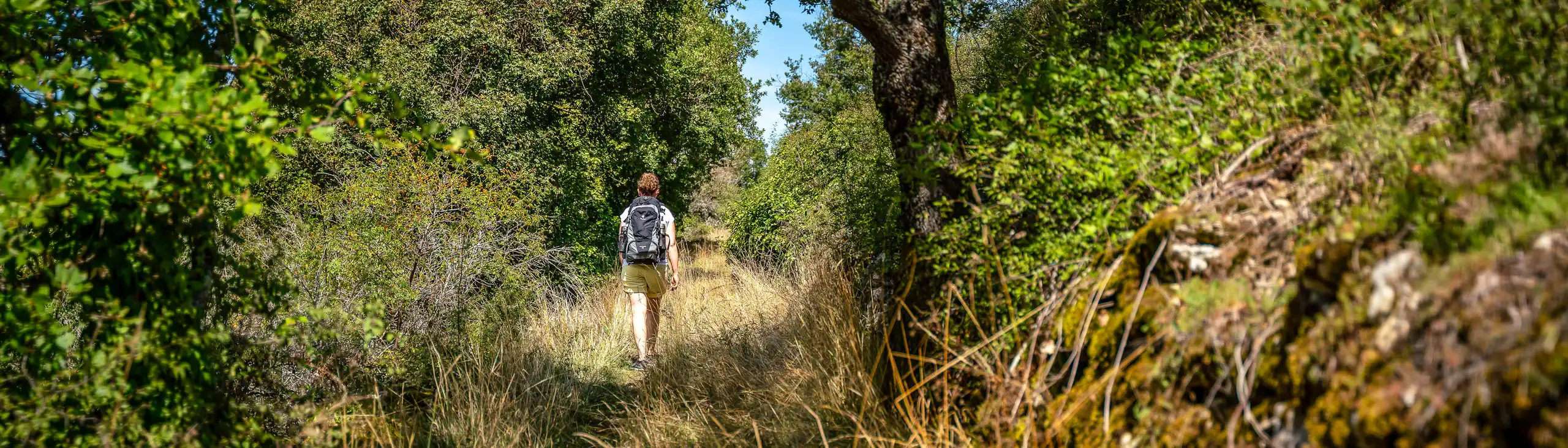 Ein schöner Wanderweg im Burgund