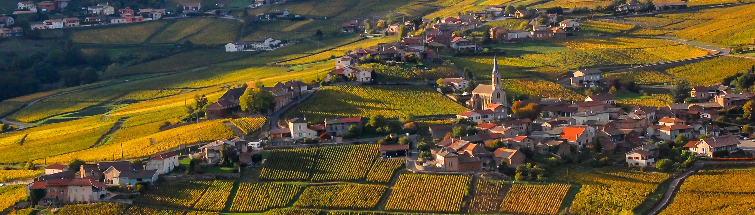 burgund-landschaft-ausblick