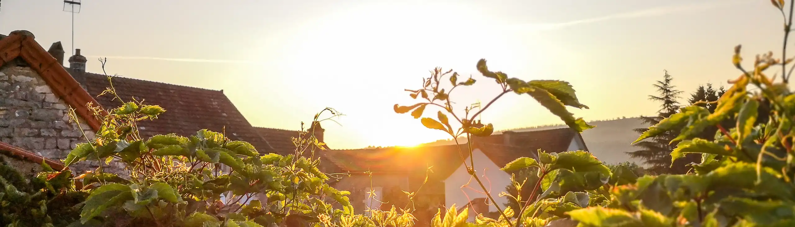 burgund-landschaft-sonnenuntergang