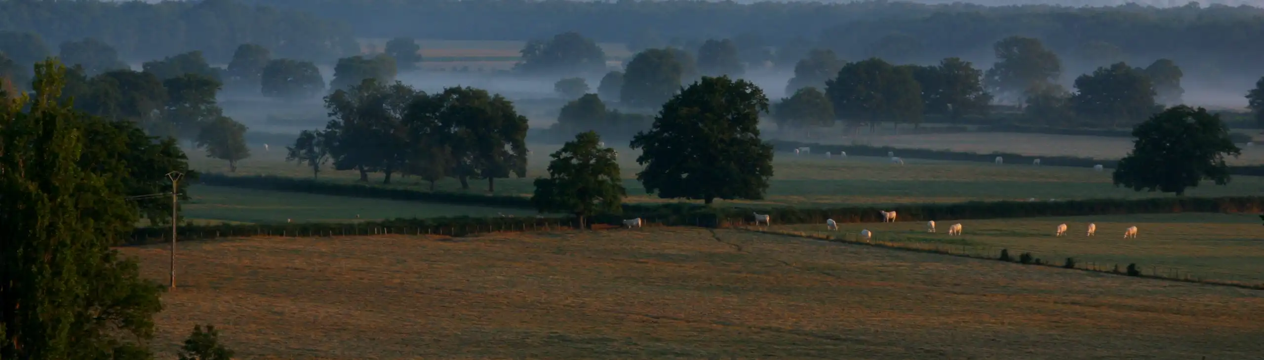 burgund-landschaft-natur