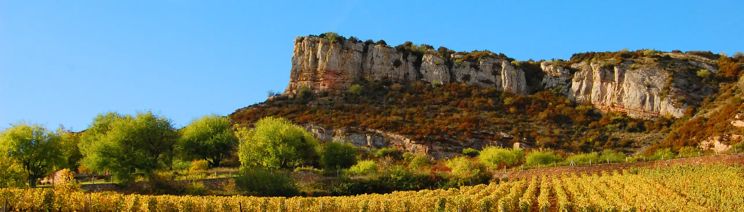 burgund-unterkunft-weinberge