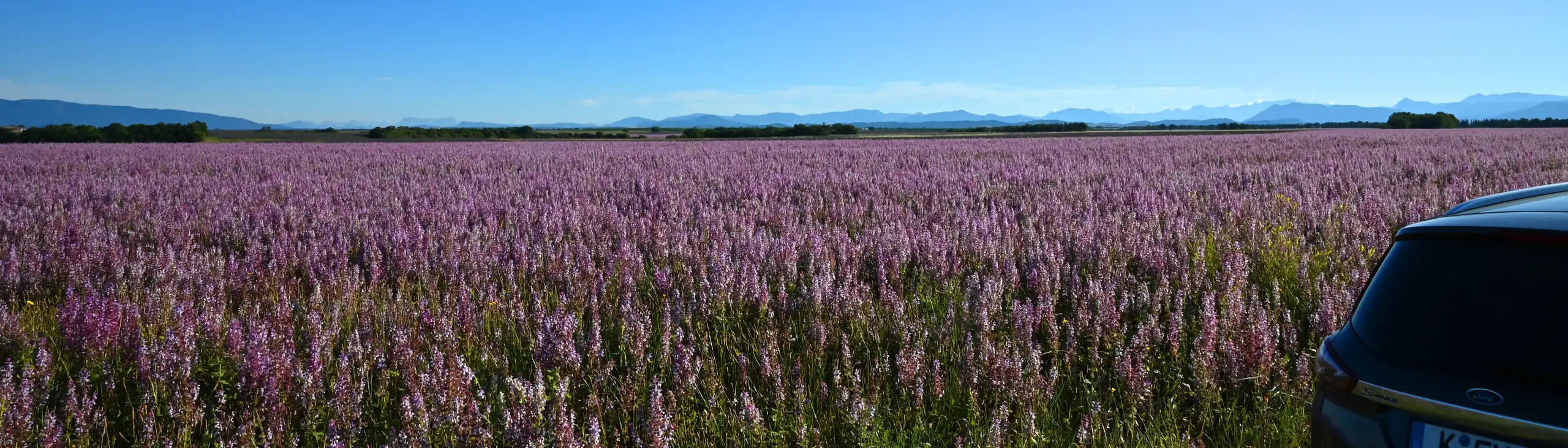 provence-autoreise-landschaft
