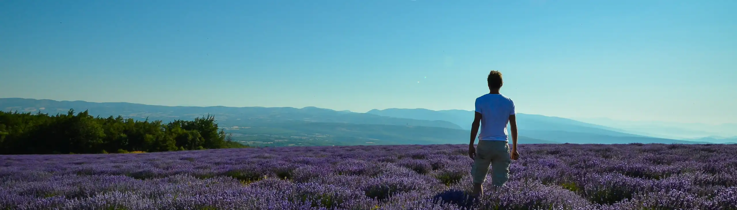 provence-landschaft-lavendel-thomas