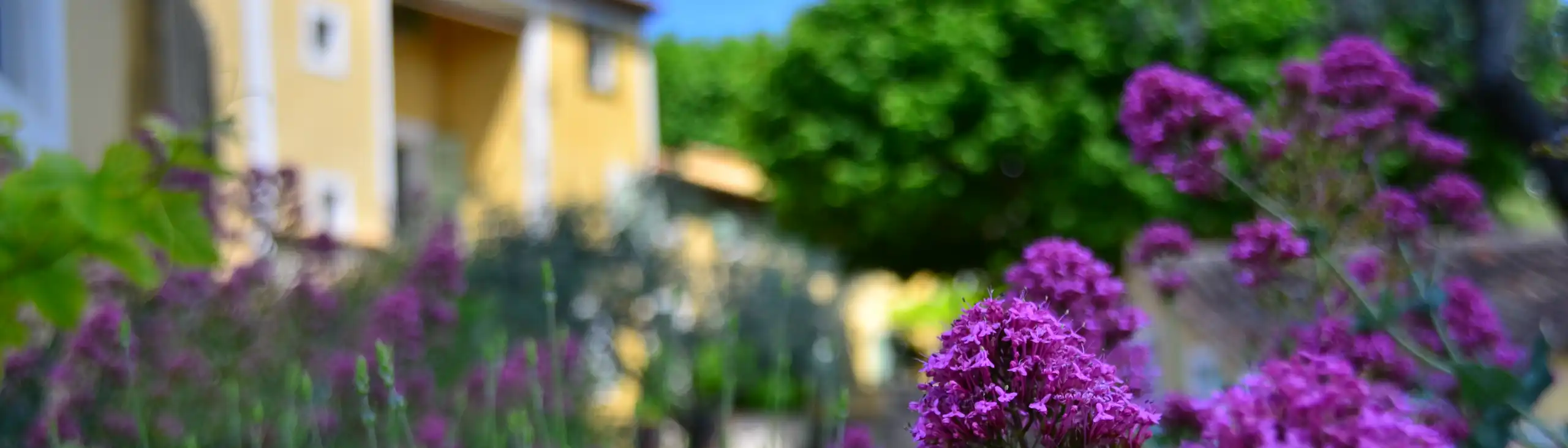 provence-unterkunft-weingut