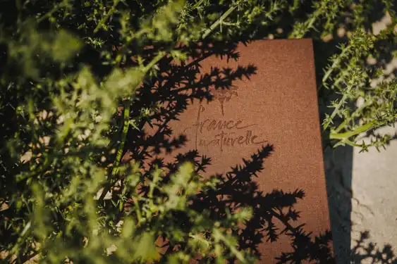 Reiseführer im Grünen aufgenommen