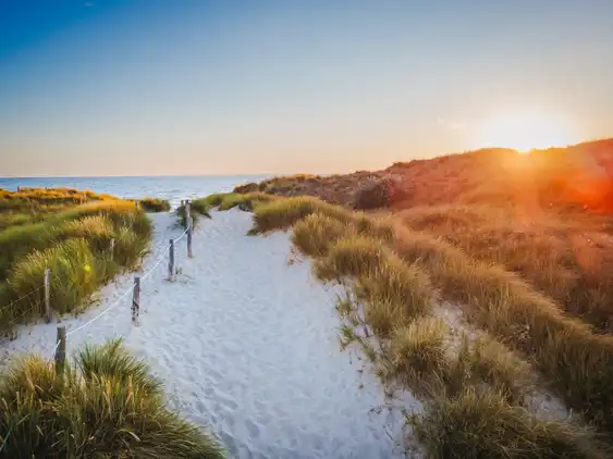 Ein Sandweg, der durch Dünen zum Meer führt beim Sonnenuntergang